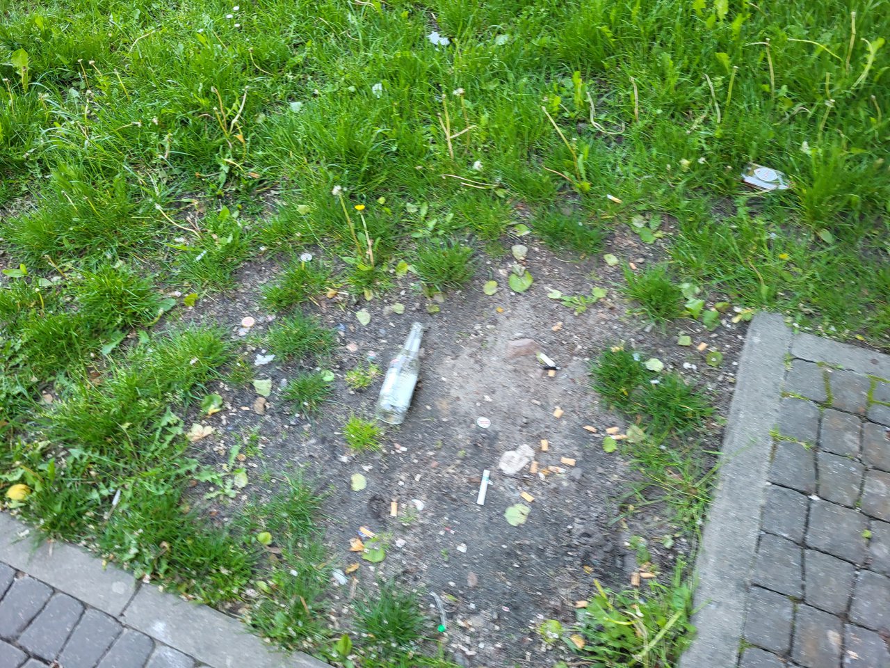 20230521_185114