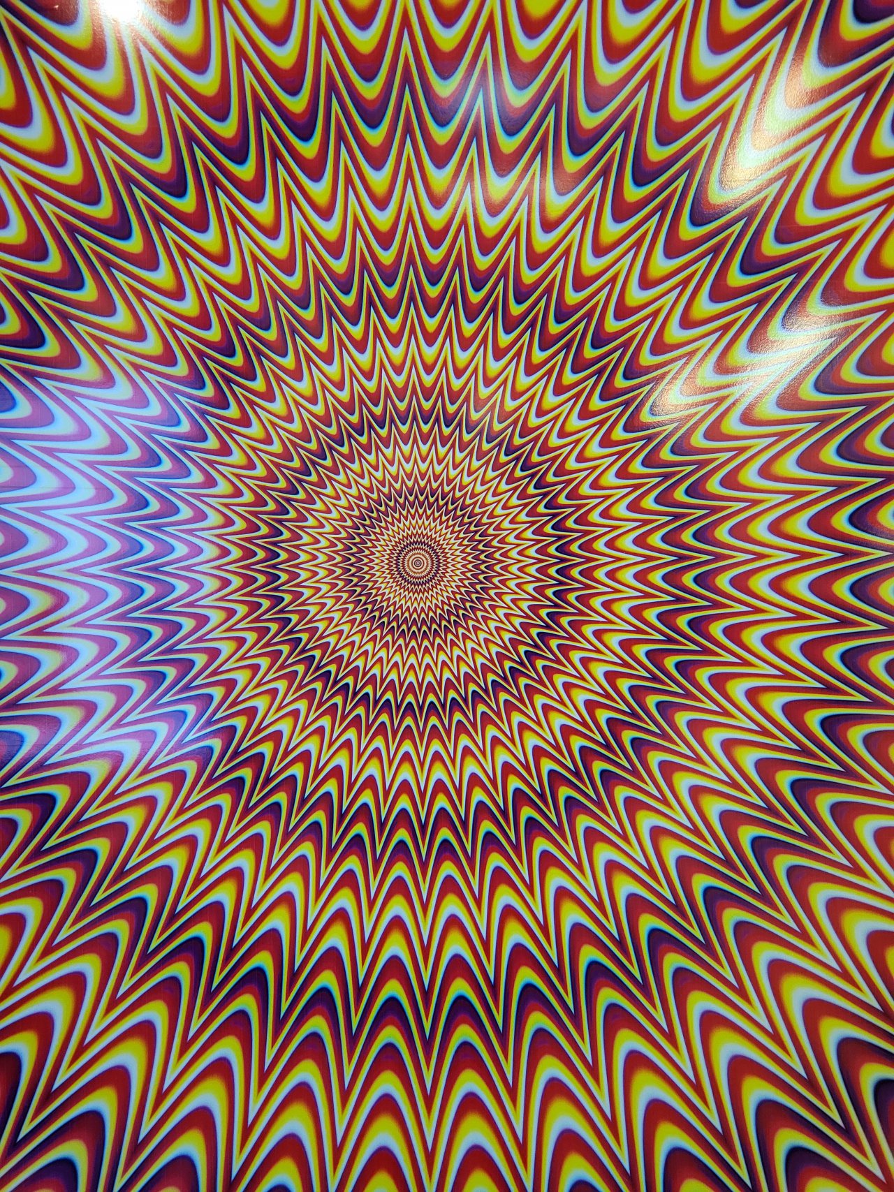 20230617_125619
