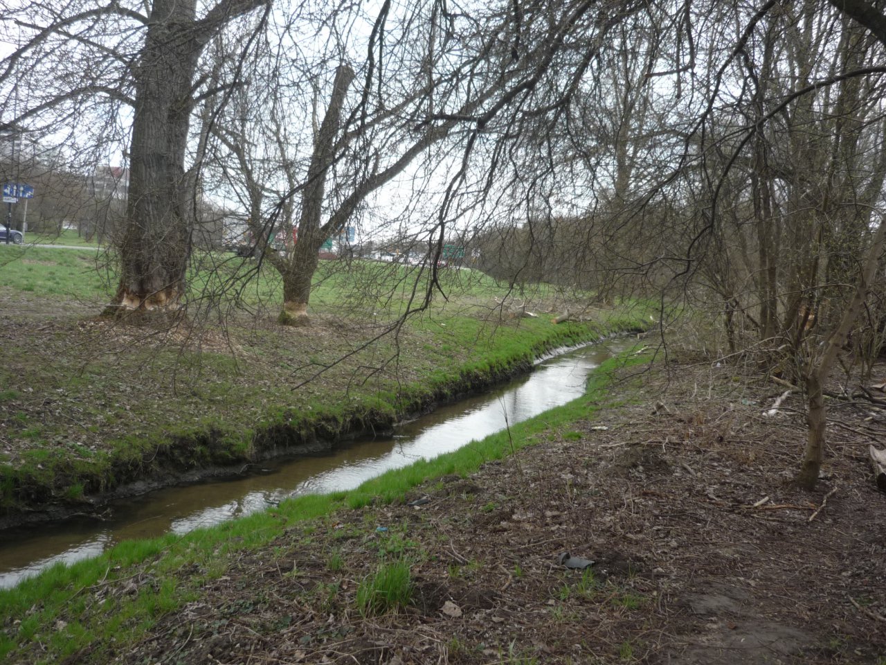 P1190272