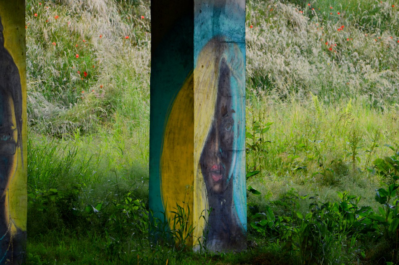 DSC_9780