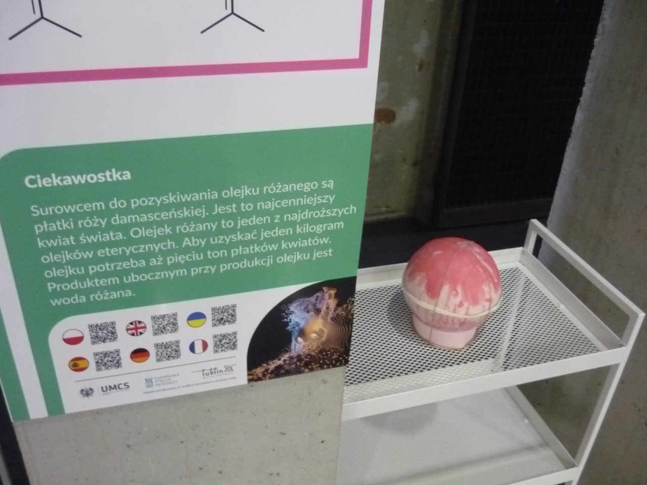 P1200024