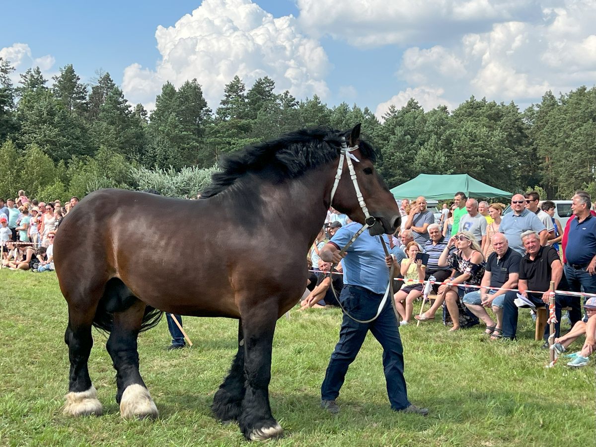 121i38