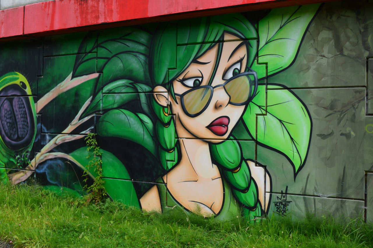 DSC_2998