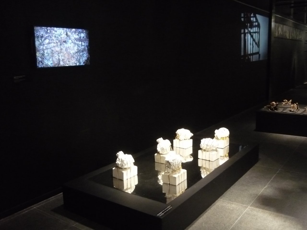 P1210783