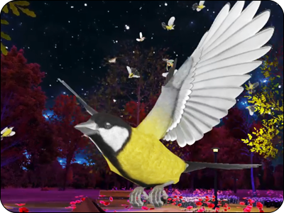 ButterfliesExtreme