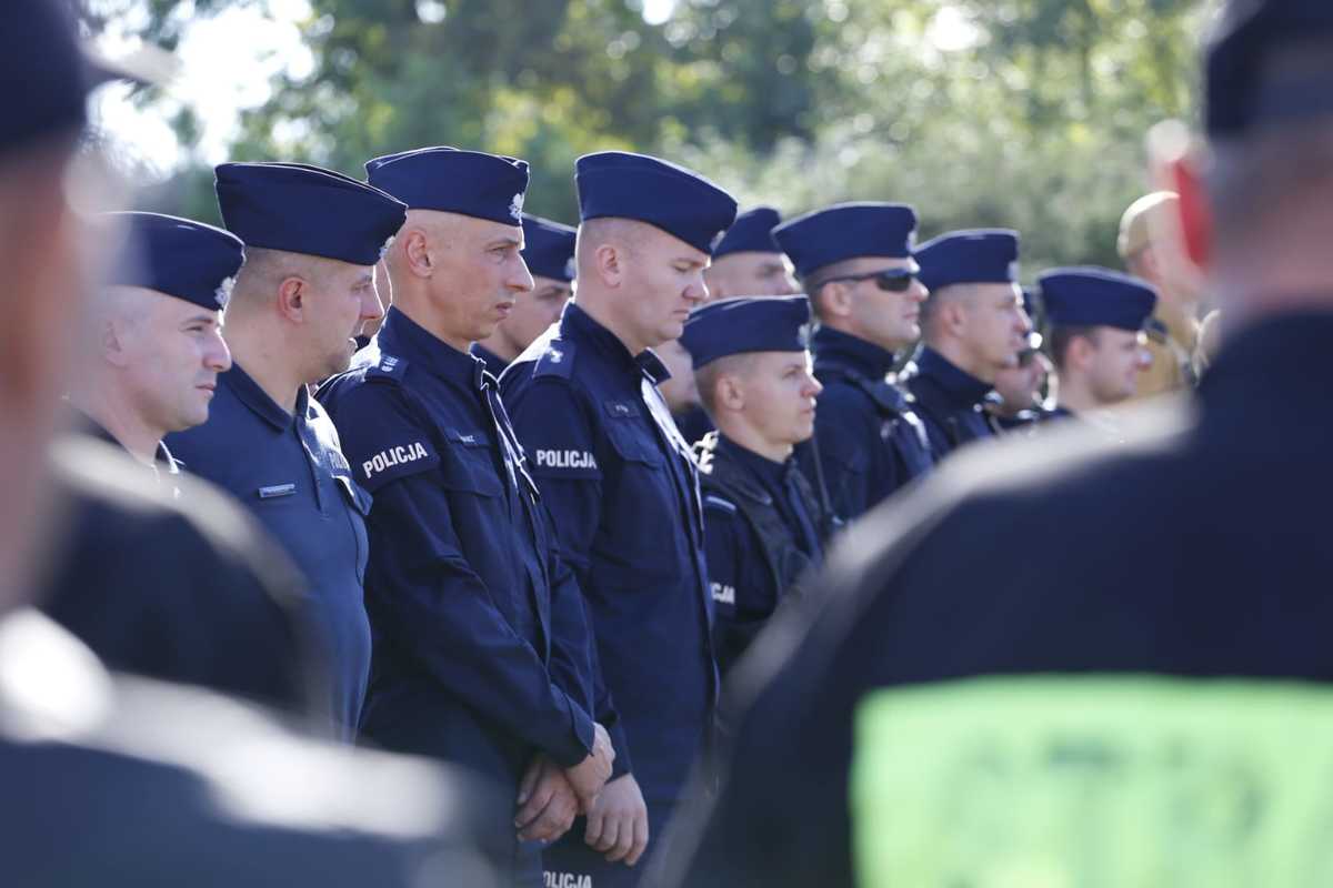 68-228088_g