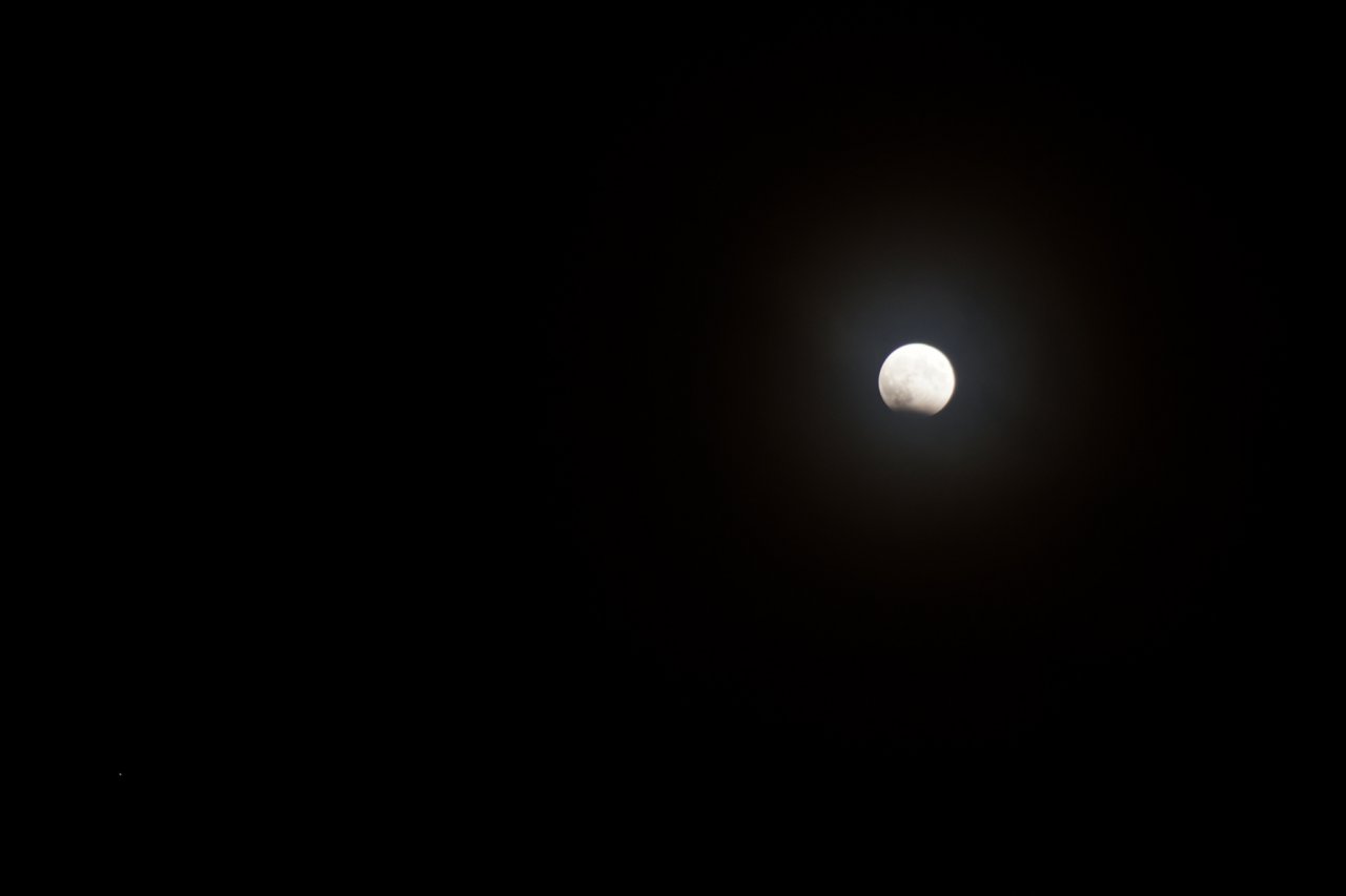 DSC05549