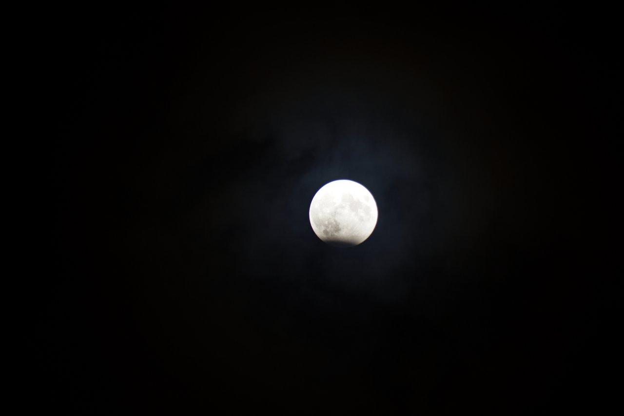 DSC05554