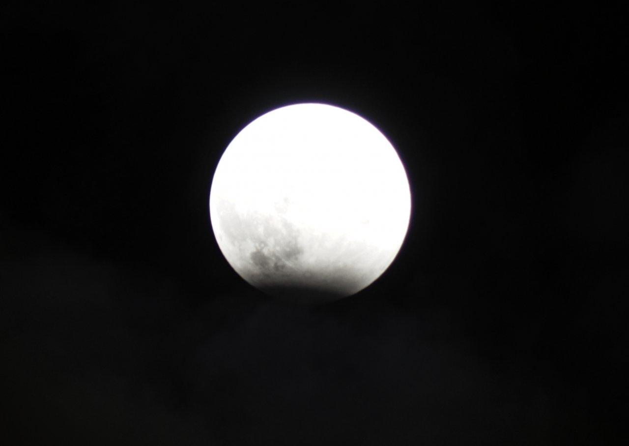 DSC05560