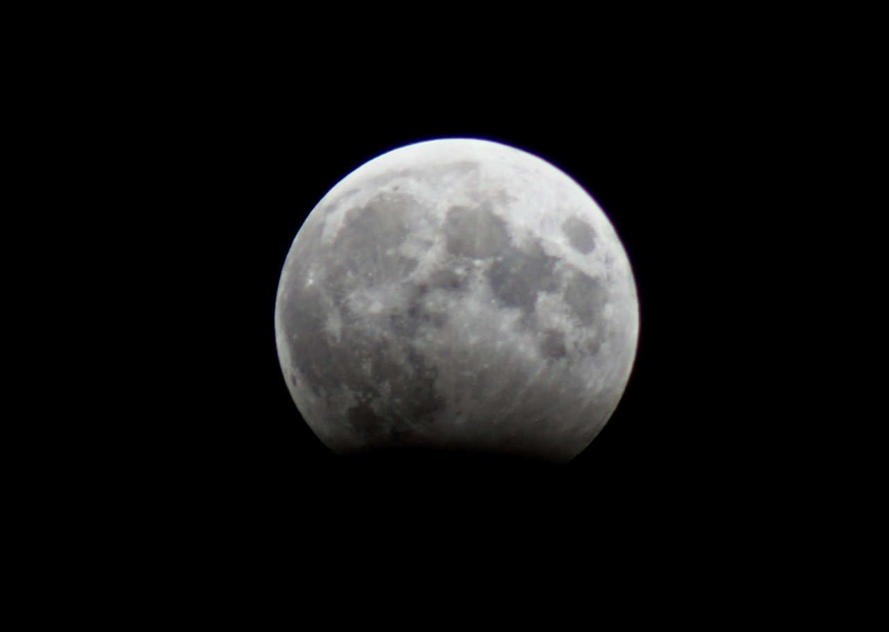 DSC05575f
