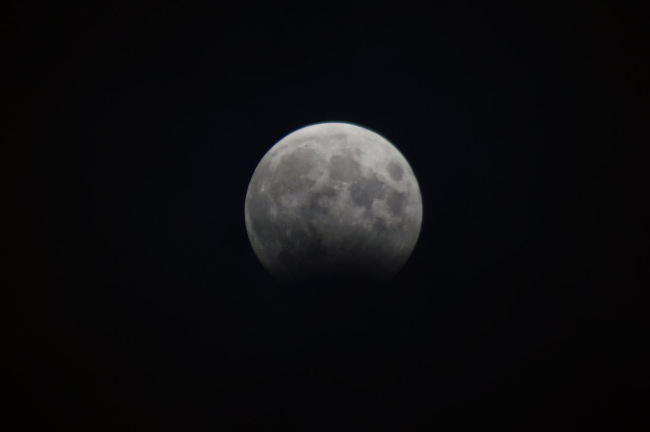 DSC05606
