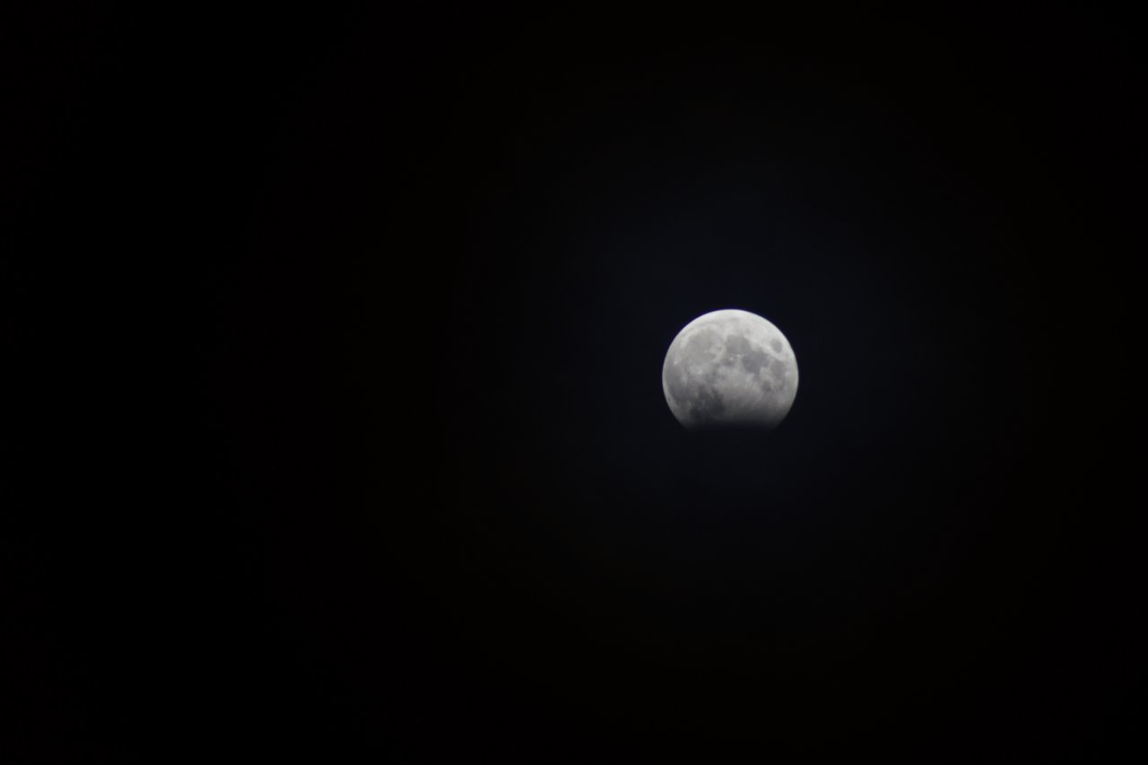 DSC05611