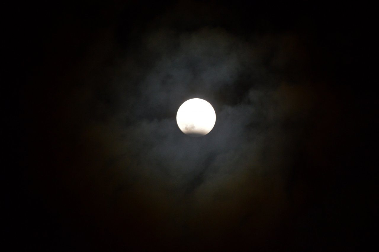 DSC_0036
