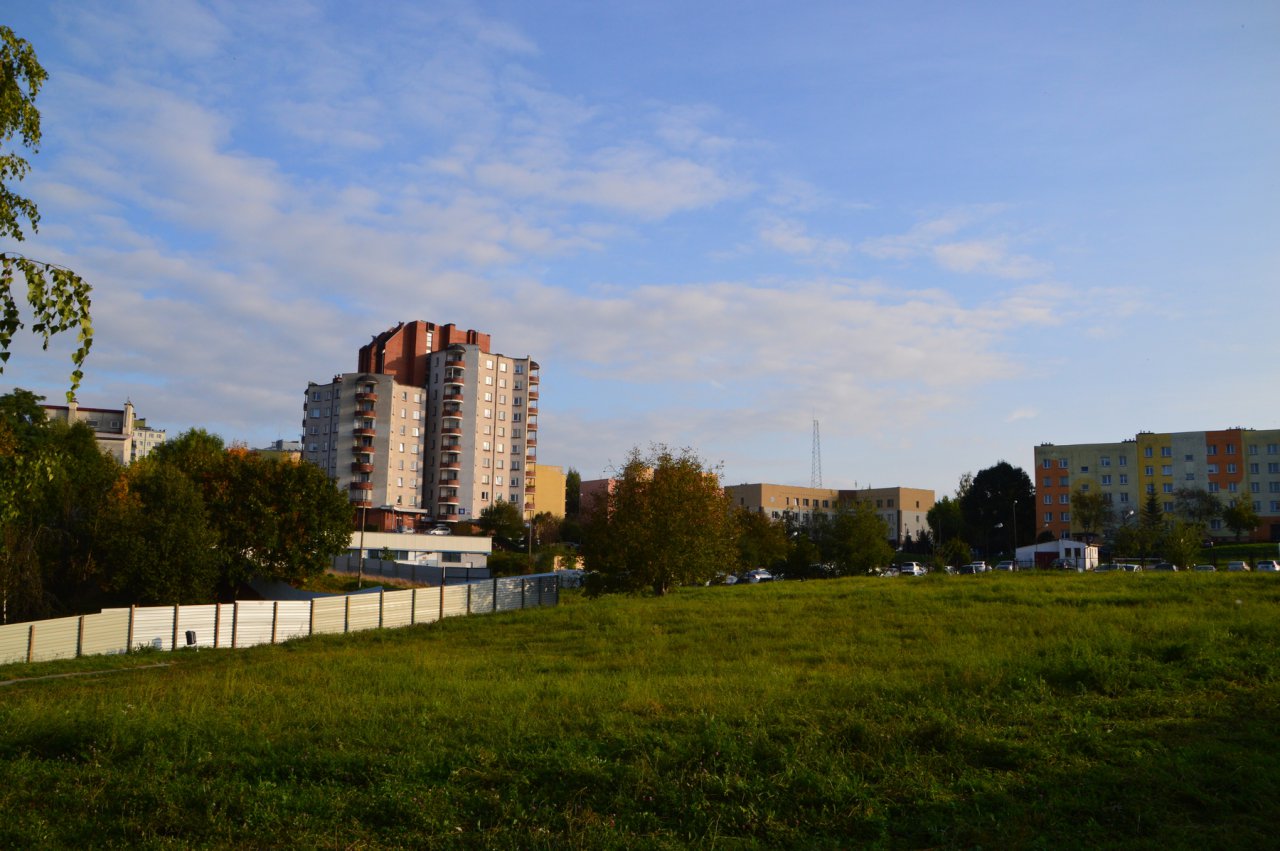 DSC_9866
