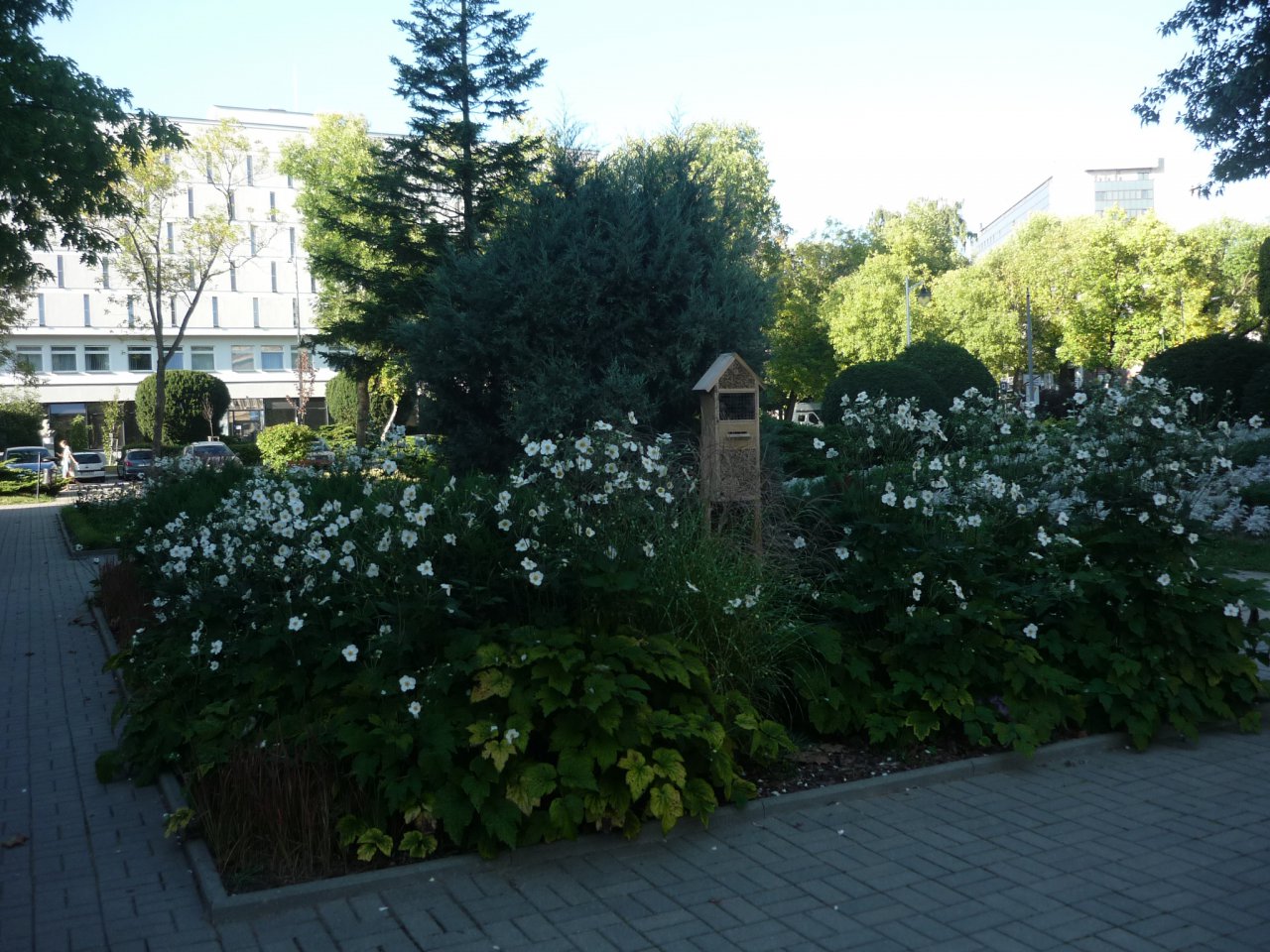 P1210478