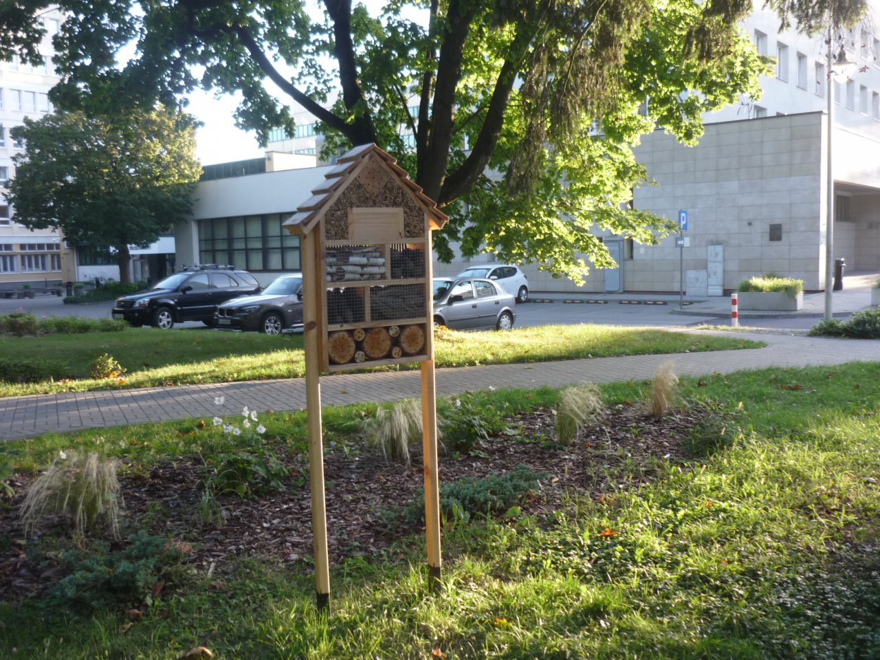 P1210498