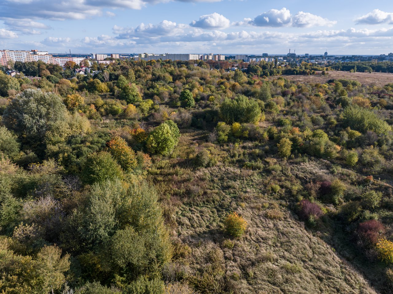 DJI_20231017145345_0132_D-Poprawione-Szum-HDR