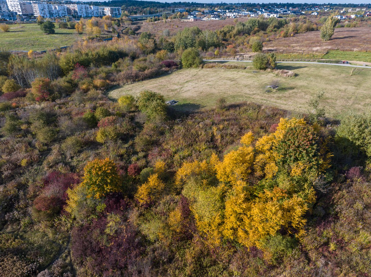 DJI_20231017145404_0137_D-Poprawione-Szum-HDR