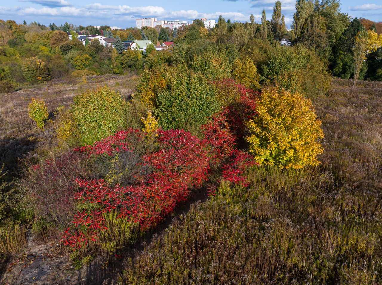 DJI_20231017145754_0167_D-Poprawione-Szum-HDR