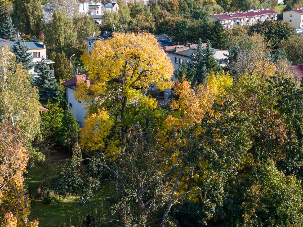 DJI_20231017145817_0172_D-Poprawione-Szum-HDR