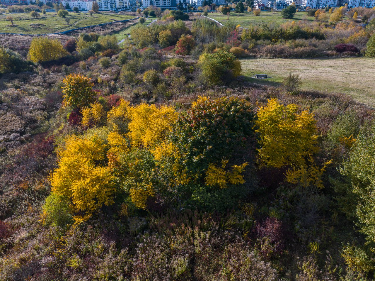 DJI_20231017150734_0233_D-Poprawione-Szum-HDR