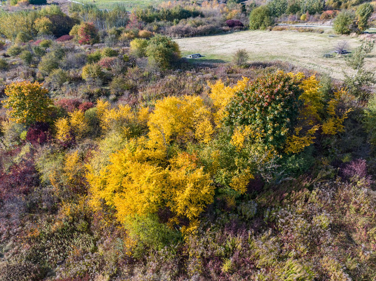 DJI_20231017150749_0241_D-Poprawione-Szum-HDR