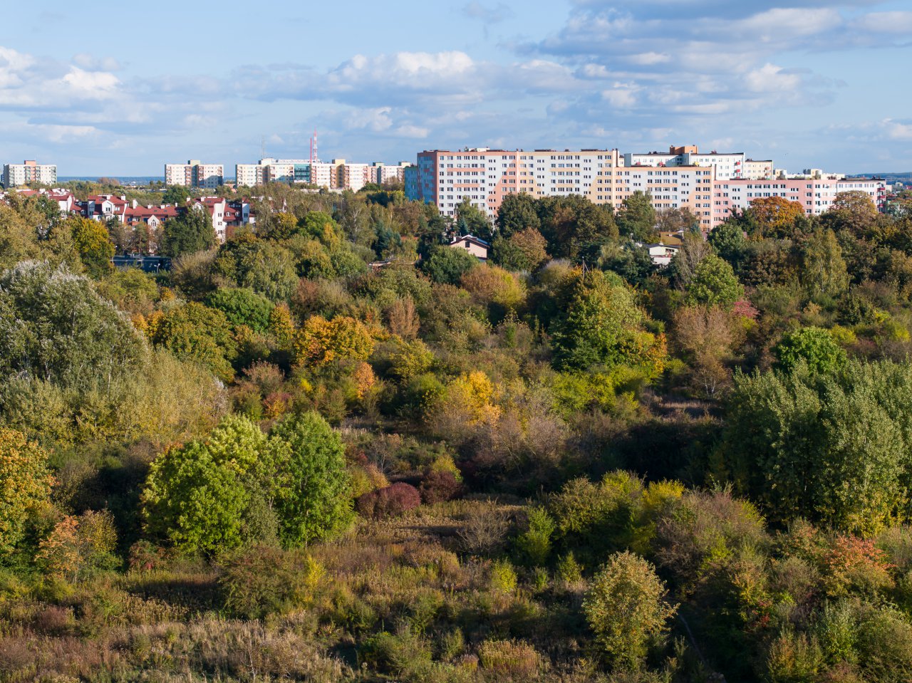 DJI_20231017151626_0291_D-Poprawione-Szum-HDR