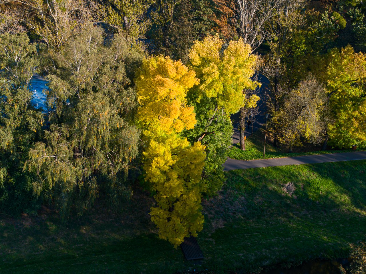 DJI_20231018154205_0385_D-Poprawione-Szum-HDR