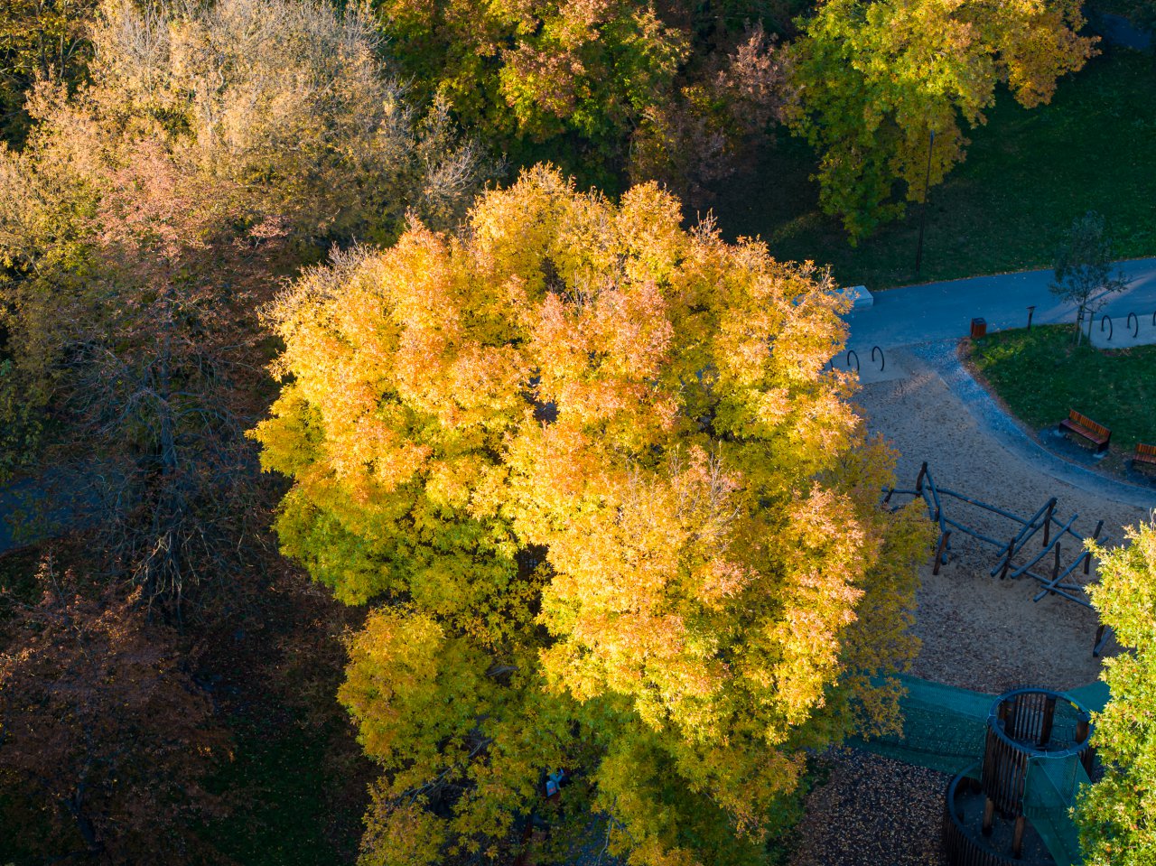 DJI_20231018161321_0770_D-Poprawione-Szum