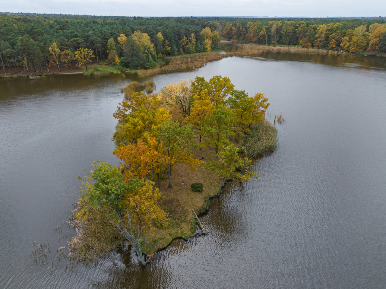 DJI_20231023132322_0776_D-Poprawione-Szum-HDR
