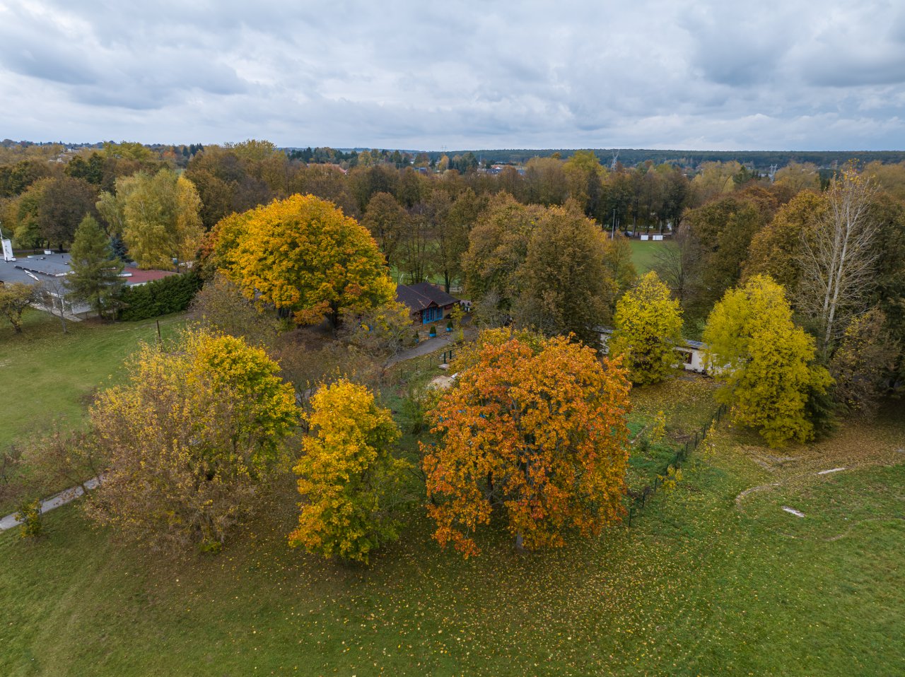 DJI_20231023133820_0920_D-Poprawione-Szum-HDR