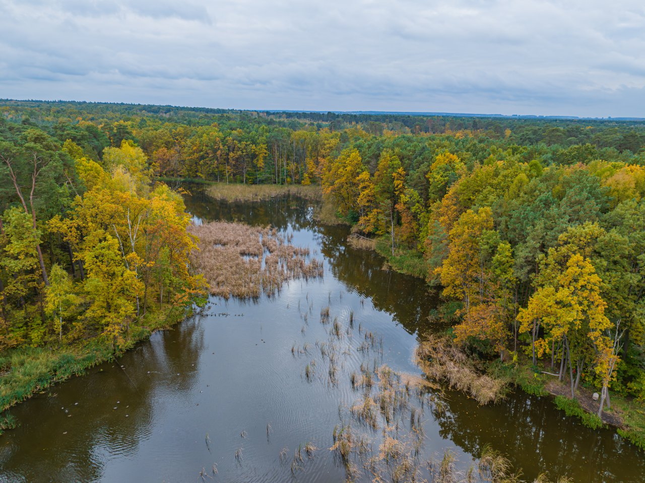 DJI_20231023134952_0966_D-Poprawione-Szum-HDR