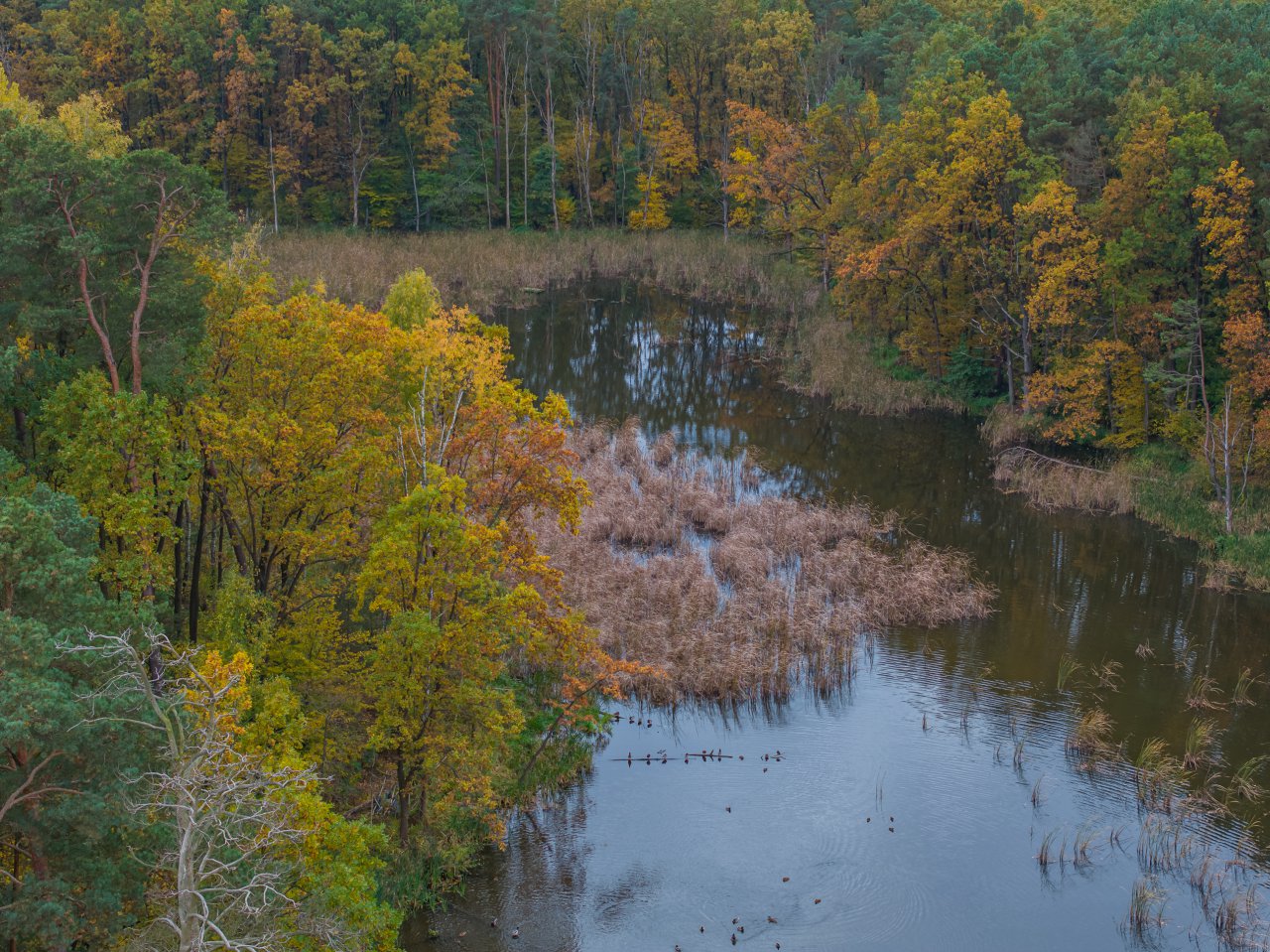 DJI_20231023135032_0979_D-Poprawione-Szum-HDR