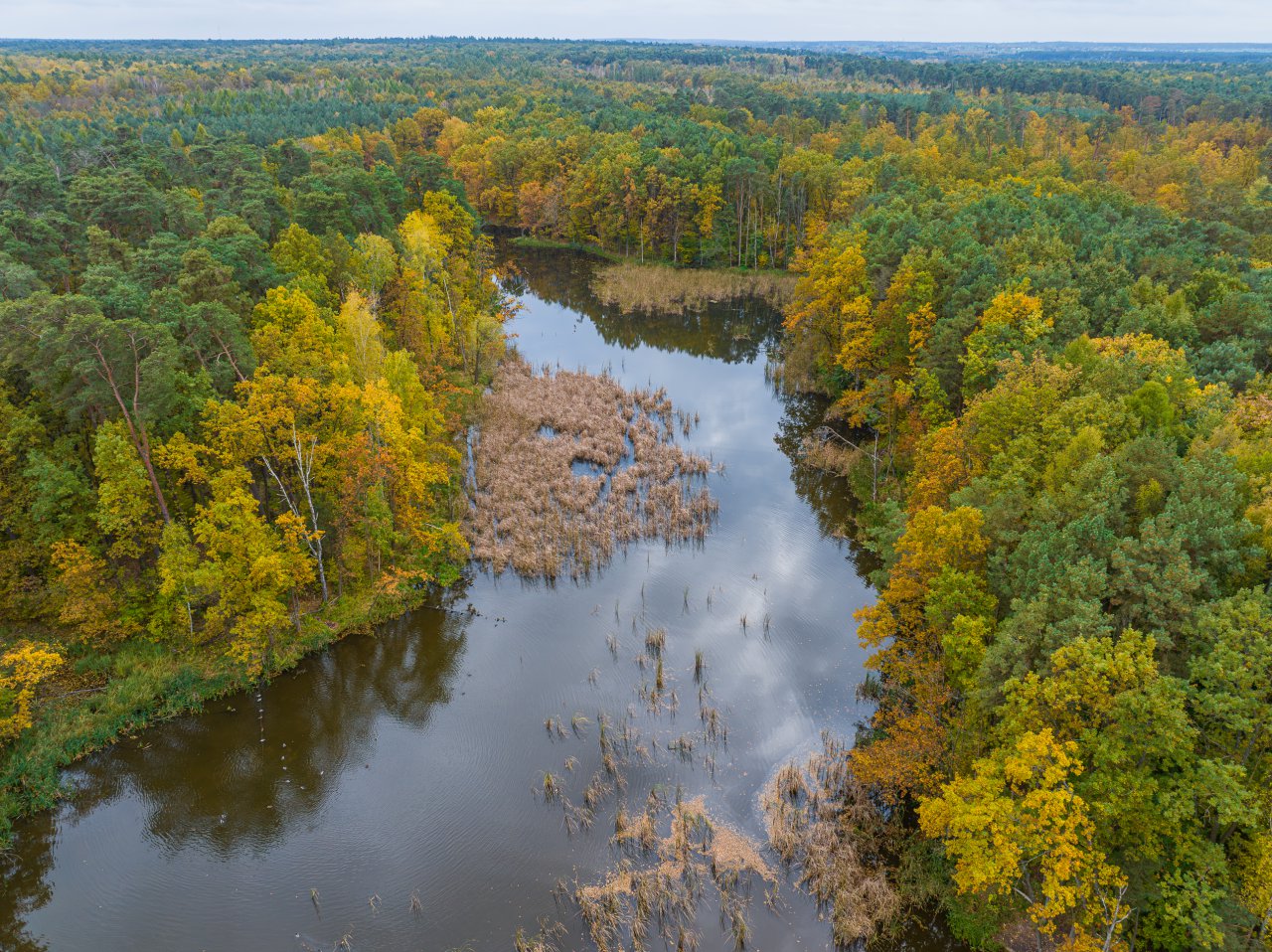 DJI_20231023135144_0995_D-Poprawione-Szum-HDR