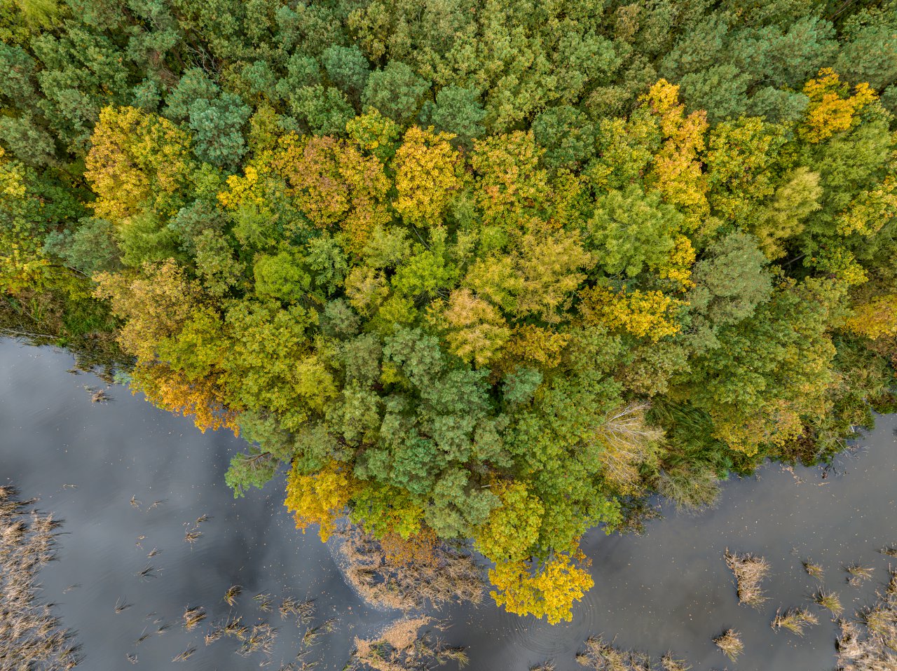 DJI_20231023135442_0050_D-Poprawione-Szum-HDR