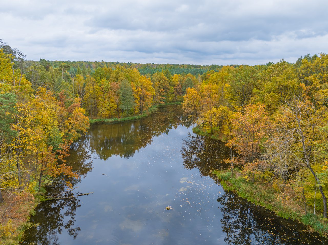 DJI_20231023135619_0081_D-Poprawione-Szum-HDR