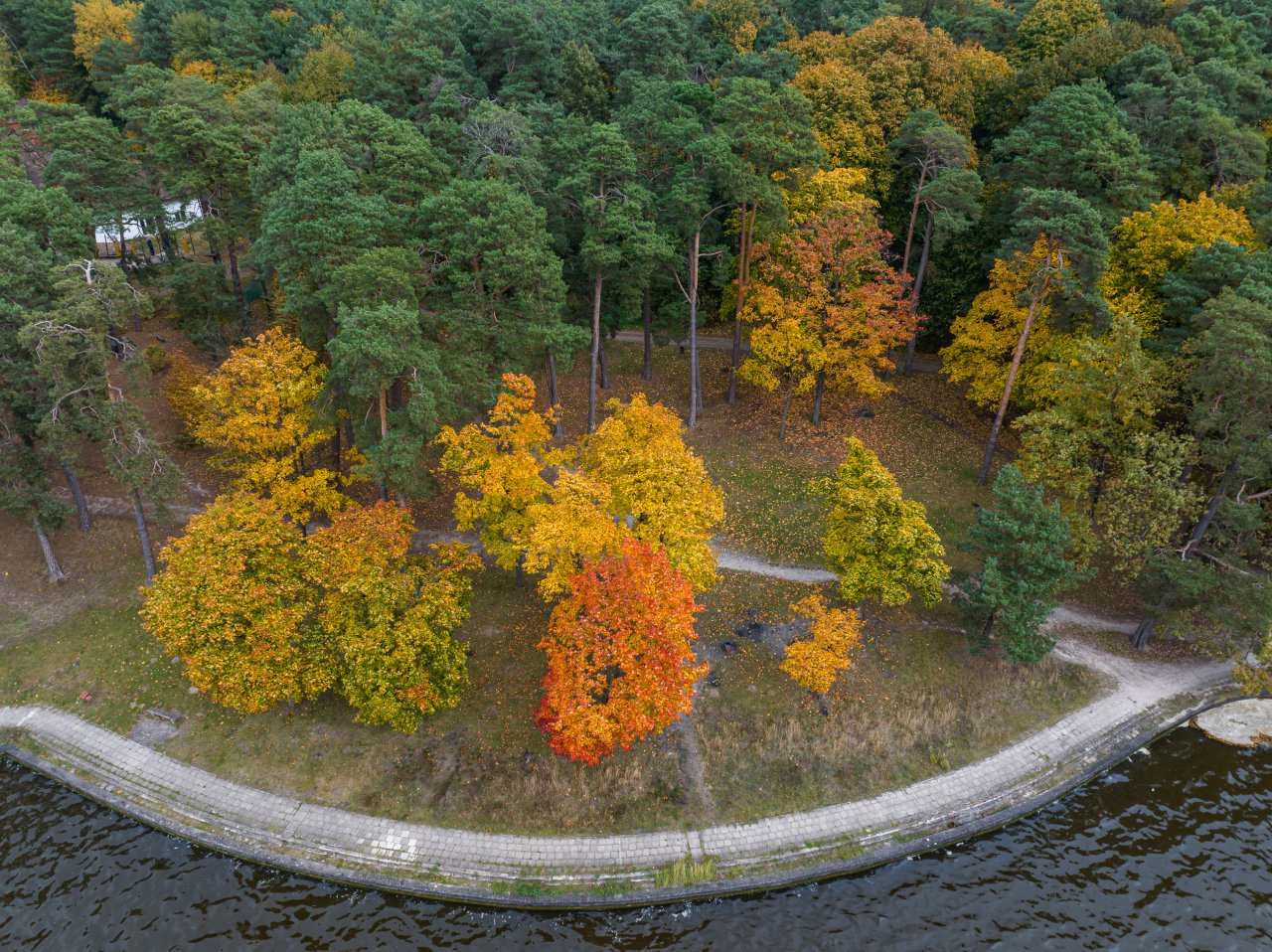 DJI_20231023140436_0120_D-Poprawione-Szum-HDR