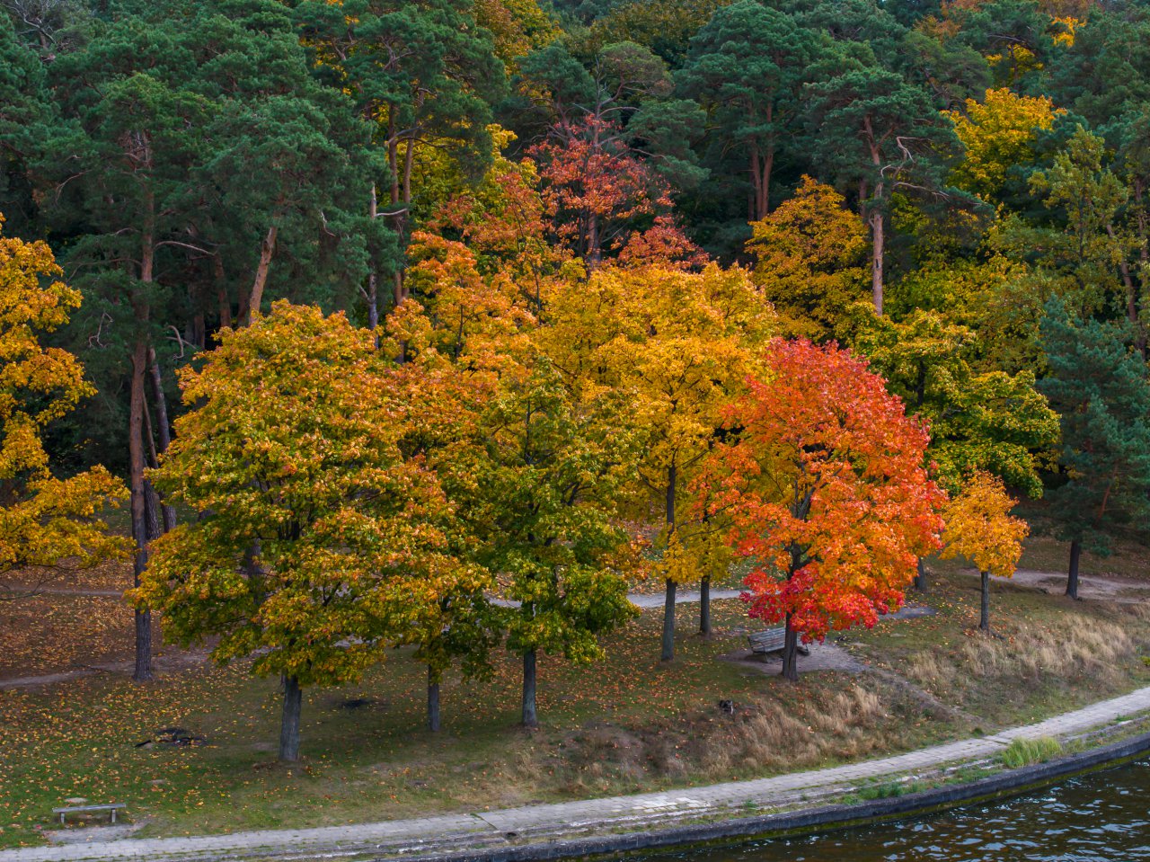 DJI_20231023140508_0127_D-Poprawione-Szum-HDR