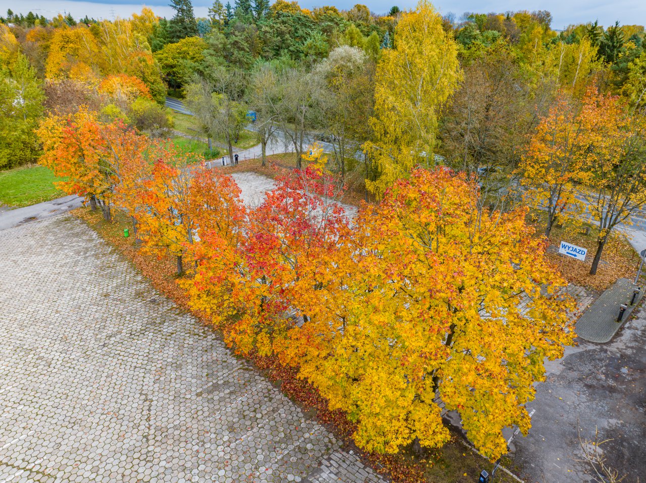 DJI_20231023150831_0371_D-Poprawione-Szum-HDR