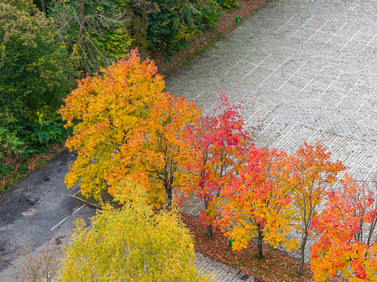 DJI_20231023150917_0391_D-Poprawione-Szum-HDR
