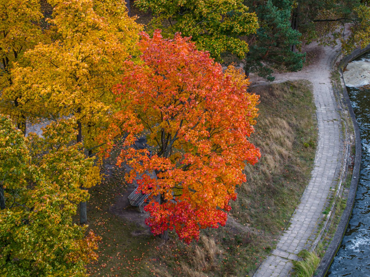 DJI_20231023151557_0480_D-Poprawione-Szum-HDR
