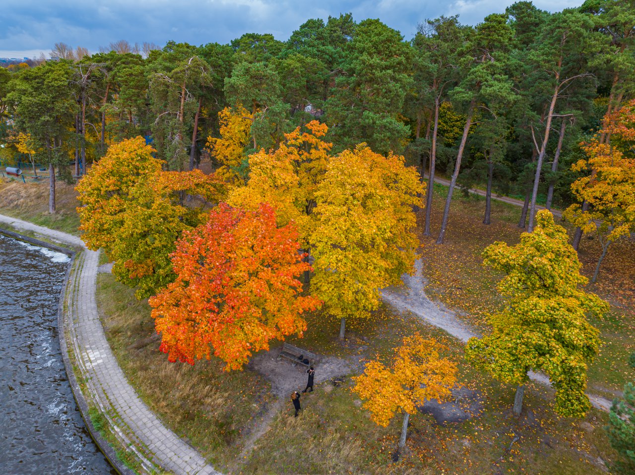 DJI_20231023151648_0504_D-Poprawione-Szum-HDR