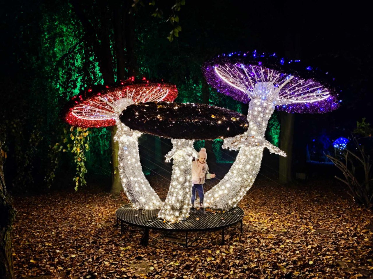 123x9