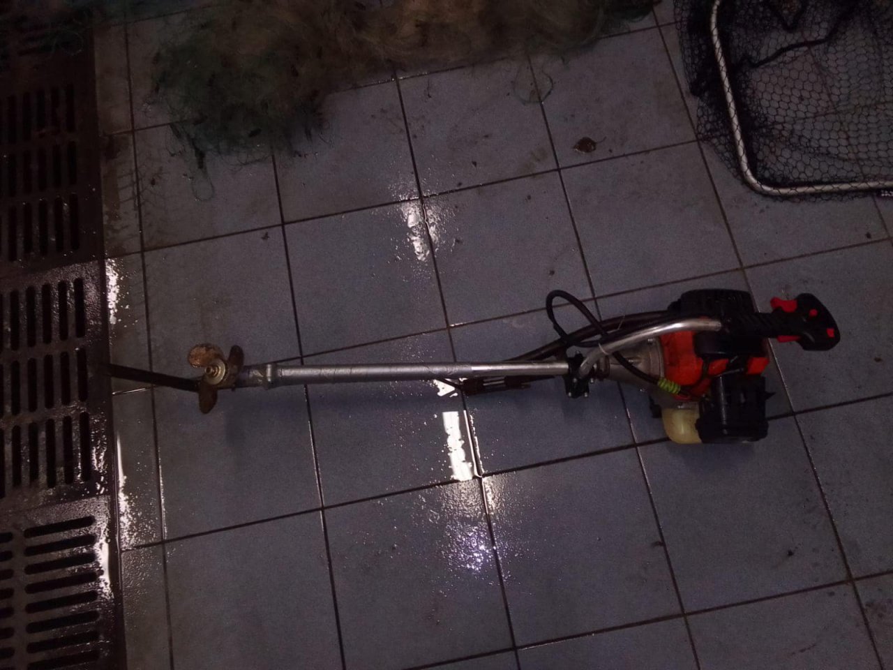 403630232_663044829343803_6240392582411451886_n