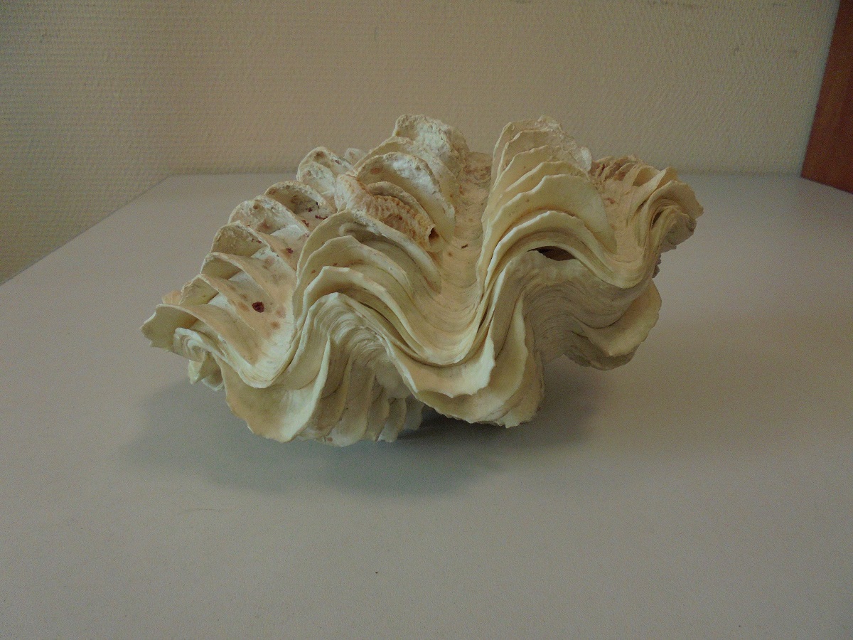 20240115-CITES (6)