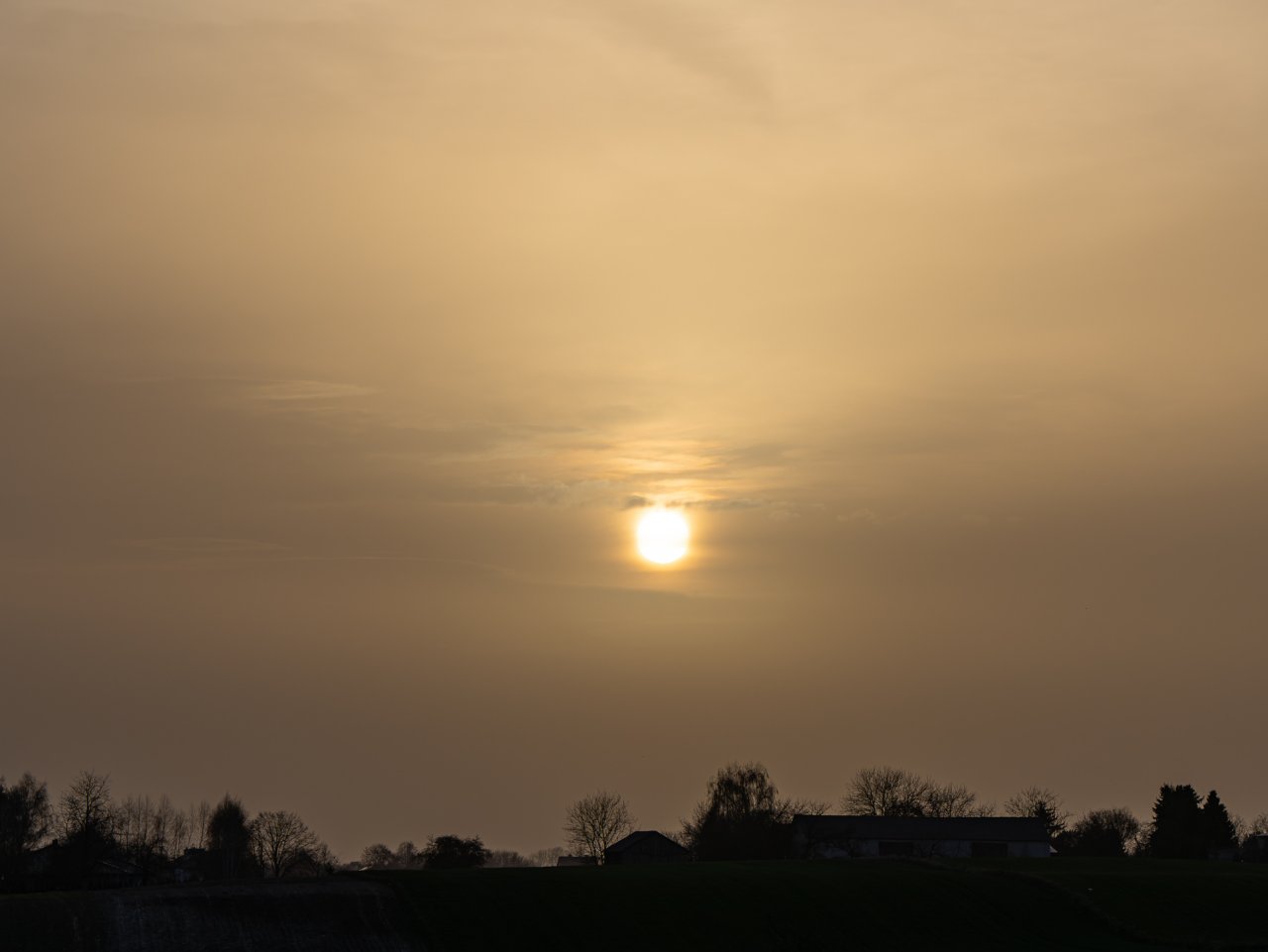 DSC08842-Poprawione-Szum