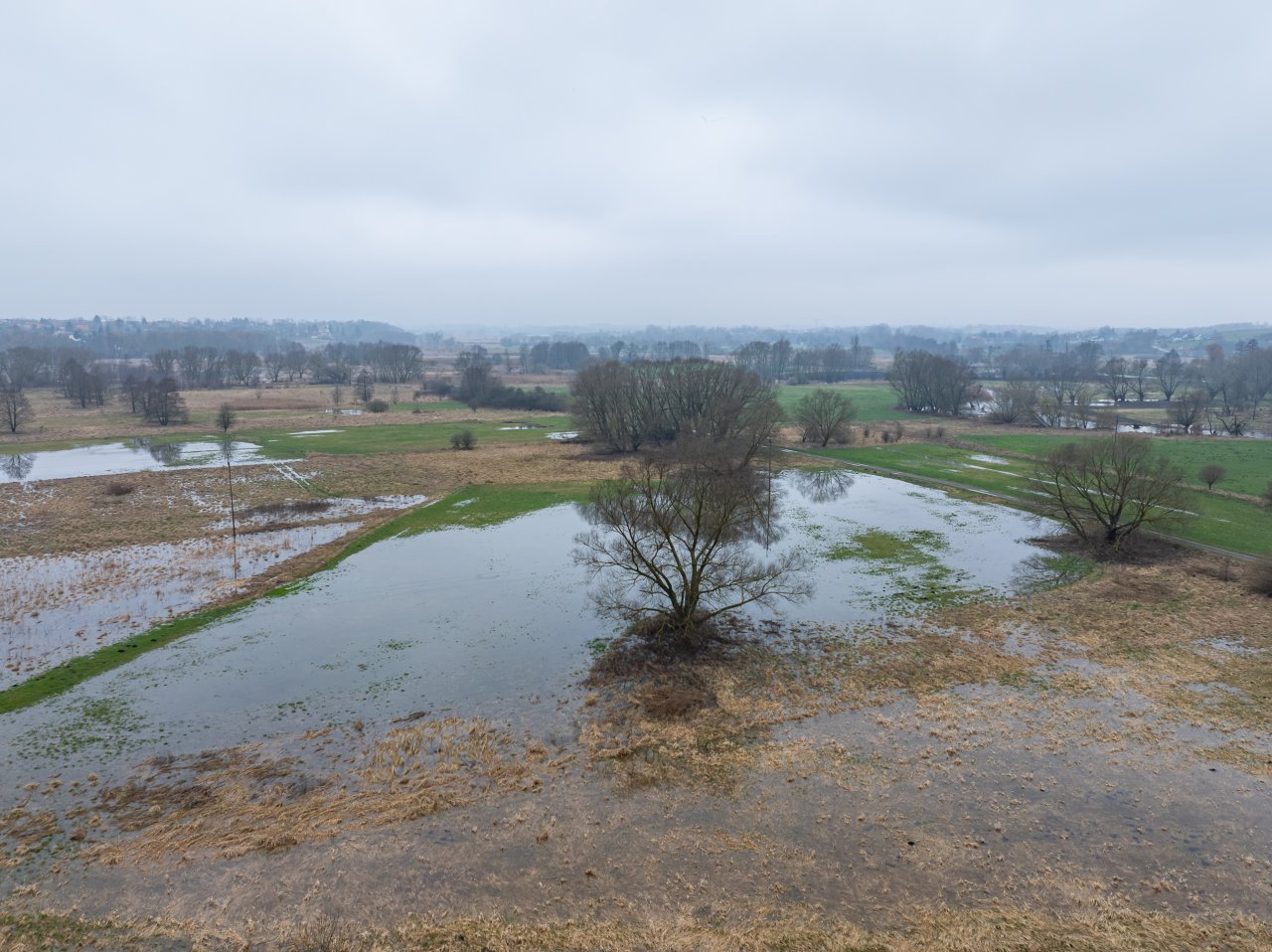 DJI_20240305114952_0739_D-Poprawione-Szum-HDR