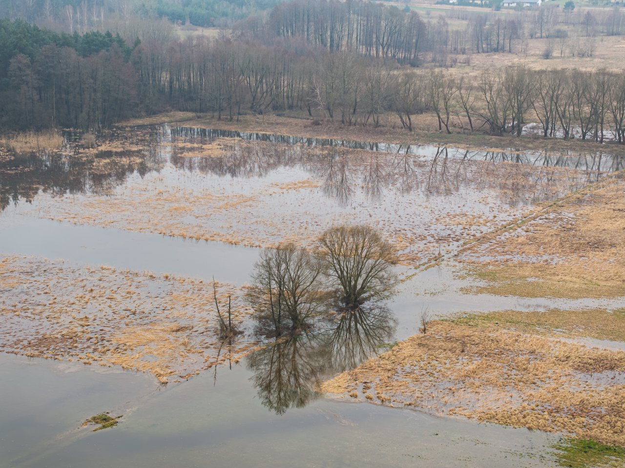 DJI_20240305115103_0767_D-Poprawione-Szum-HDR