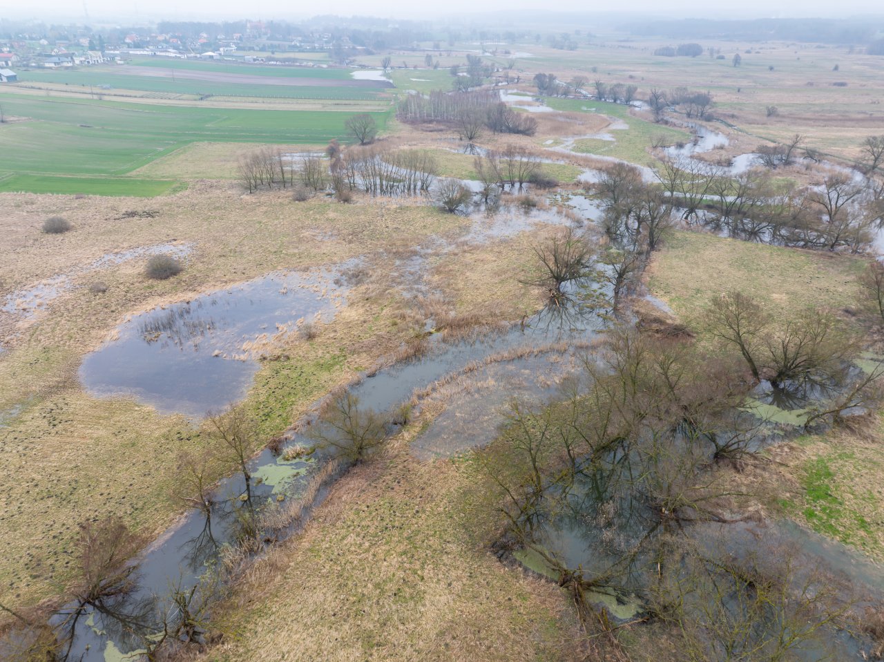 DJI_20240305115605_0871_D-Poprawione-Szum-HDR