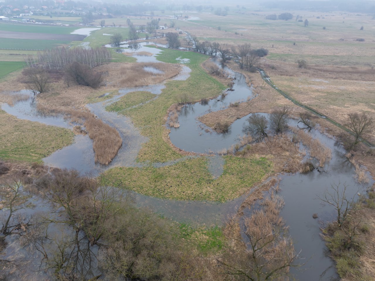 DJI_20240305115630_0873_D-Poprawione-Szum